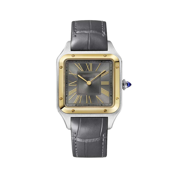 Cartier | Santos Dumont | Quartz | Staal (W2SA0028)